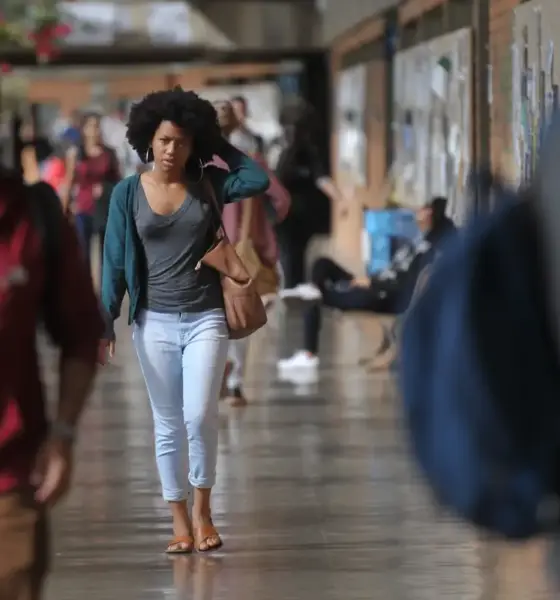 Pesquisadores apresentam guia para gestão pública antirracista
