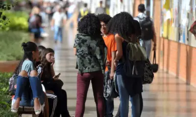 Estudo sugere expansão de políticas afirmativas em Santa Catarina